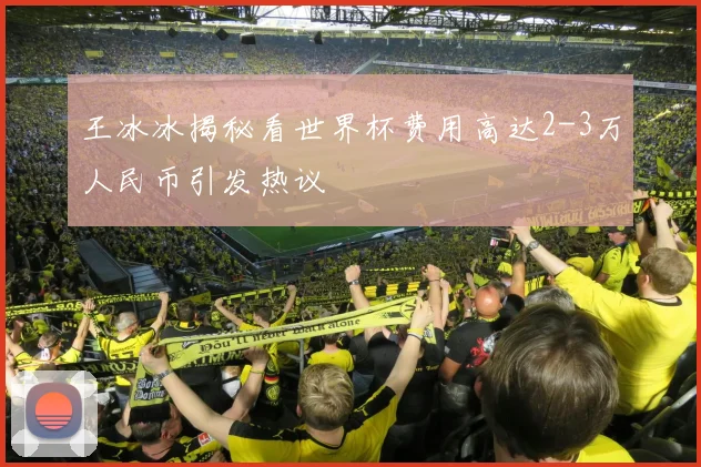 王冰冰揭秘看世界杯费用高达2-3万人民币引发热议